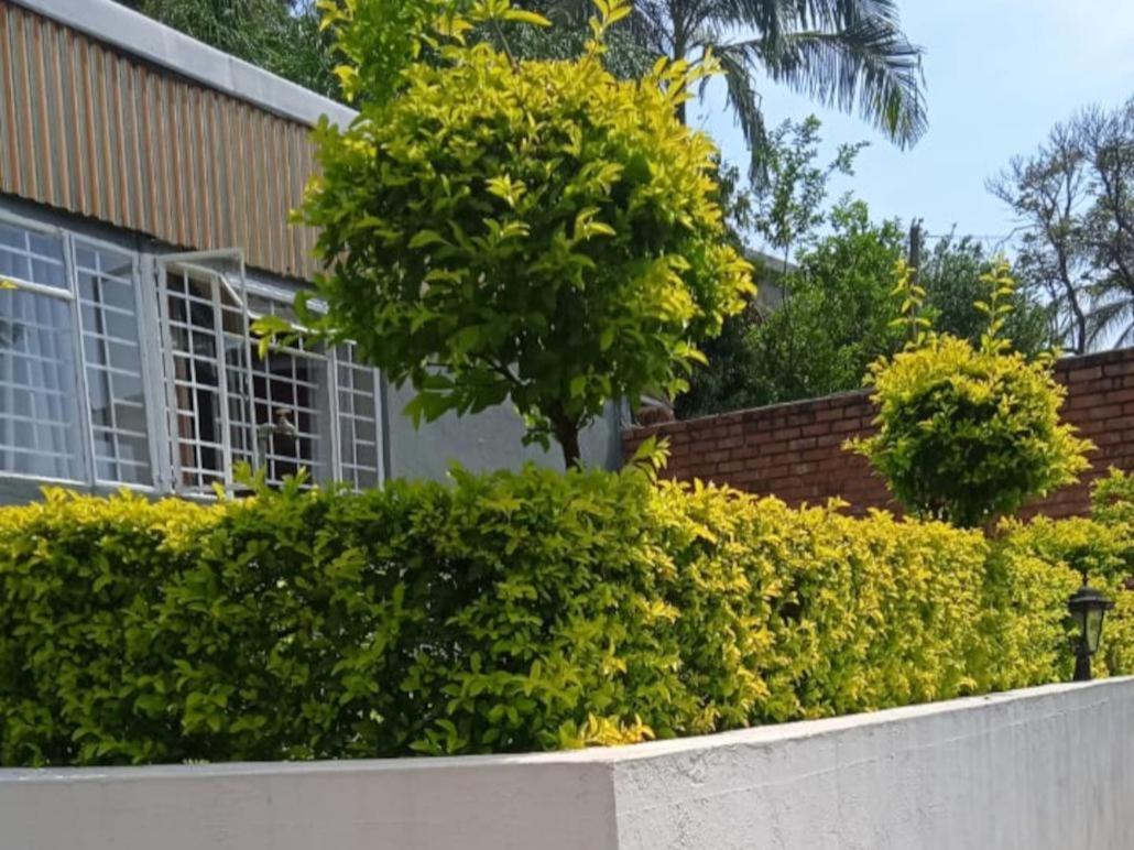 Kaste Guesthouse تزانين المظهر الخارجي الصورة